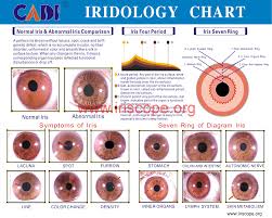 how to reading the iridology by color iriscope