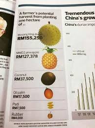 Anda hanya perlu menulis kuantiti yang ingin anda tukar (dinyatakan dalam hektar ) dan klik tukar untuk mengetahui penukaran kepada (ac). Anggaran Pendapatan Durian Musang King Rm155 250 Sehektar Paling Tinggi Dari Komoditi Lain Kartel Dakwah