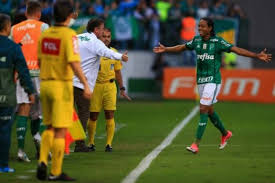 Pin Em Palmeiras