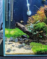 Werbung Details Of The Ada 60p Instagram Ada Aquarium