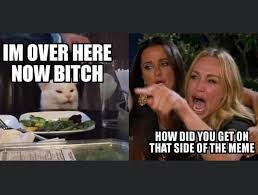 Imgur Com Funny Cat Memes Funny Dog Memes Stupid Funny Memes