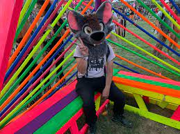 Went to an EDM festival for the first time ever and fursuiting there was a  lot of fun! ❤️🦊✨ : rfurry