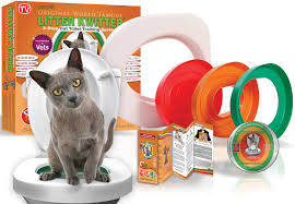 Can you teach a cat to use a human toilet? How I Trained My Cat To Use The Toilet In 4 Months Cat Toilet Training Cat Care Cat Training