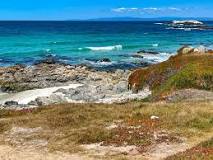 Image result
