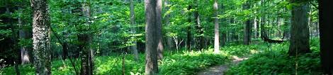 Image result for metamora park district