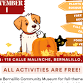 Tricks %26 Treats Fall Pet Adoption Fair event image