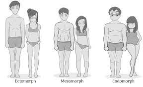 Shorter haircuts can actually draw attention to the subtle nuances of your face and make the face and neck appear thinner. Workouts By Body Type Jzpthomas Body Type Workout Body Types Women Athletic Body Type