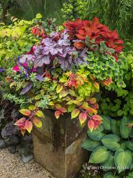 'swingtime' fuchsia (fuchsia x hybrid 'swingtime') has large, double white flowers that contrast with the striking red stop pinching about a month before the first frost date in the fall. Vibrant Color Bold Design Container Garden Design Plants Container Gardening