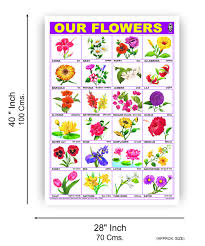 Buy Our Flowers Chart Size 70 X 100 Cms Without Pvc