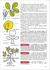 Animaux Et Plantes Des Pays Tropicaux Lecons De Choses Et Exercices D Observation Cm Nathan 1963 Apprendre Le Francais Lecon De Choses Documentaire Animaux
