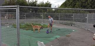 Schnell und sicher online buchen. Stad Leuven Gaat Samenwerken Met Dierenbescherming Mechelen Voor Opvang Van Honden Radio Reflex