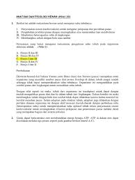 What is a tragic hero essay. Soal Essay Dan Jawaban Tentang Sistem Kardiovaskuler Peranti Guru