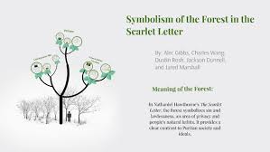 Symbolism Of The Forest In The Scarlet Letter By Charles