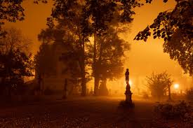 Jeroen kijk in de vegte, nikkie de jager en tygo gernandt zijn nog over. Wie Is De Mol Speelt Zich Af In Tsjechie Reishonger Nl