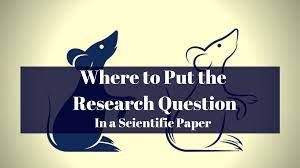 In english 1110, if you have not completed this process, you may want to begin by utilizing your first paper, the personal narrative, as a springboard for learning about research in college writing. Where Does The Research Question Go In A Paper Wordvice