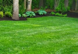 Effective lawn care & weed control service for over 31 years in the greater toronto area. Watertown Ct Lawn Care Service Weed Control Lawn Mowing Lawn Maintenance Contractor Near Me Riley Tree And Landscaping L L C
