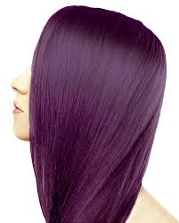 Ion Permanent Hair Color Chart Intense Violet Www
