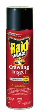 Raid 20-Oz Defend Ant And Roach Killer Lavender Home And Perimeter Indoor  Bug Spray In The Insect Repellents Department At Lowes.Com