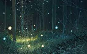 Forest Night Hd Wallpaper Forest Wallpaper Night Forest Night Landscape