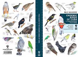Endemic Birds Of Cuba