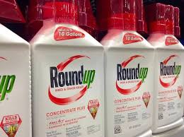 Image result for Dicamba nightmare kills everything