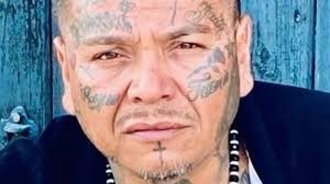 No charges in Elgin motorcyclist's death because reckless homicide law  'poorly' written, state's attorney says