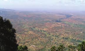 Image result for Pseudobromus engleri