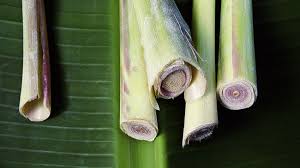 How to make lemongrass oil at home. Try This For An Oily Scalp Lemongrass Essential Oil Naturallycurly Com