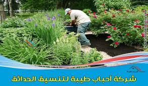 شركة تنسيق حدائق بالدمام بأفضل منسق حدائق بالظهران والدمام herbs dammam food