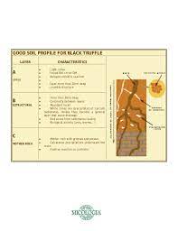Truffle Farming Guide Farming Guide Truffles Farm