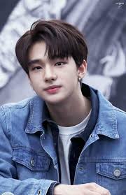 His fellow students also really like his personality and since he debuted as an idol, he. Hyunjin
