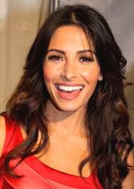 Fan Casting Emmanuelle Chriqui as Lilly Webster (Mother Of Aaron Webster)  in Gabriel's Inferno