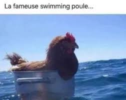 It will be published if it complies with the content rules and our moderators approve it. Voila Voila Merci Desole Fallait Que Je Le Dise Antho Facebook