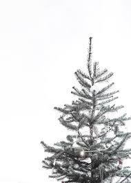 Here you can get the best christmas tree wallpapers for your desktop and mobile devices. Pin On Christmas