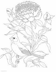 See more ideas about bird coloring pages, coloring pages, free printable coloring pages. Realistic Birds Coloring Pages For Adults Coloring Pages Printable Com
