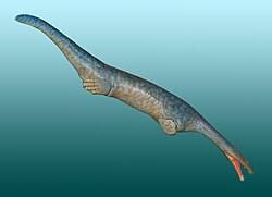 Image result for Nothosaurus