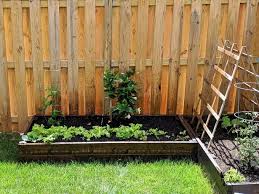 I can't actually see into her kitchen as we have a high fence and the garden slopes down. Learn How To Build A Trellis For Vines With My Diy Trellis Tutorial