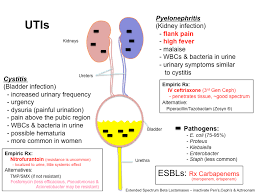 Treatment Of Utis Tusom Pharmwiki