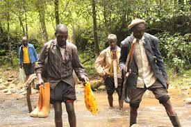 Image result for Anthonotha noldeae