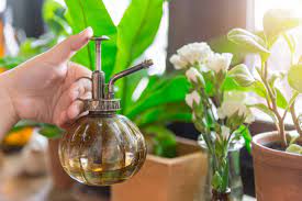 Homemade Lemon Spray For Flea Control