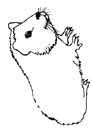 Maybe you would like to learn more about one of these? Meerschweinchen Ausmalbilder Malvorlagen 100 Kostenlos