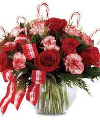 'united states/tennessee' & 'shopping/flowers and gifts'. Holiday Bowl Festive Bouquet Pugh S Flowers Local Florist Memphis Tn Holiday Decor Christmas Christmas Arrangements Christmas Flowers
