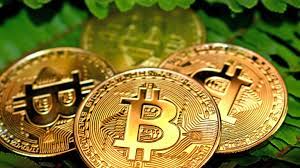 Бонус в 50 монеток — это всего лишь бонус, а не цель использования bitcoin. Bitcoin Price Why It S Down And Where It Goes From Here The Street Crypto Bitcoin And Cryptocurrency News Advice Analysis And More