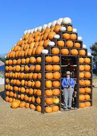 Pin On Fall Fascination