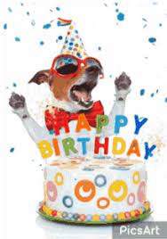 Have a great time by sharing them on social website, on your facebook profile or instagram profile. Dog Birthday Gifs Tenor