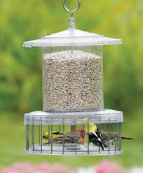 Caged Bird Feeders For Small Birds Uk All Weather Feeder With Wire Cage Bird Feeders Wild Bird Feeders Squirrel Proof Bird Feeders