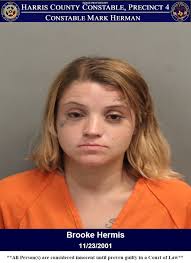 YOU CAN RUN, BUT YOU CAN'T HIDE — COPPER THIEVES CAUGHT! On October 23,  2025, while