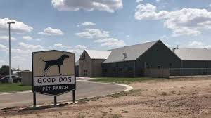 Our pets are our family, and we want the best quality care for our furry family members. Amarillo Residents Will Soon See A New School Doggy Daycare And Mcdonald S Upgrade