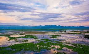 See 41 traveler reviews, 164 candid are there opportunities to exercise at chuti resort & picnic spot? 2 Picnic Spots In Guwahati Dipor Bil Pobitora Sanctuary