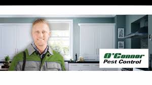 Contact us today to discuss your specific pest control needs. O Connor Pest Control Oxnard Home Facebook